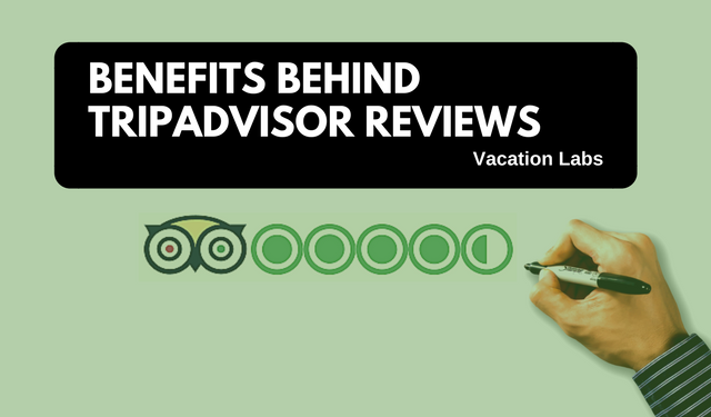 Why Should TripAdvisor Reviews Be Your Top Priority?