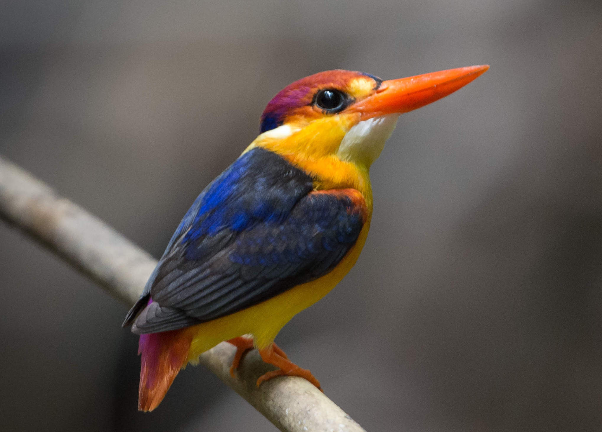 eco-tourism-vacationlabs