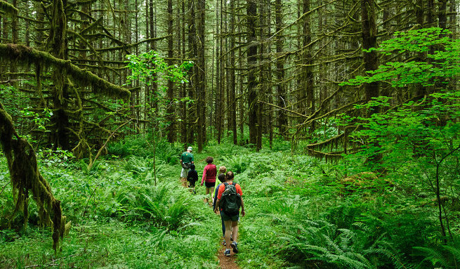 environment-friendly-tours