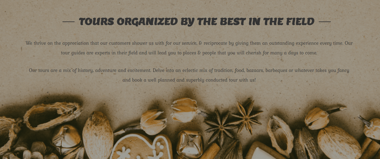 travel-website_About_Us