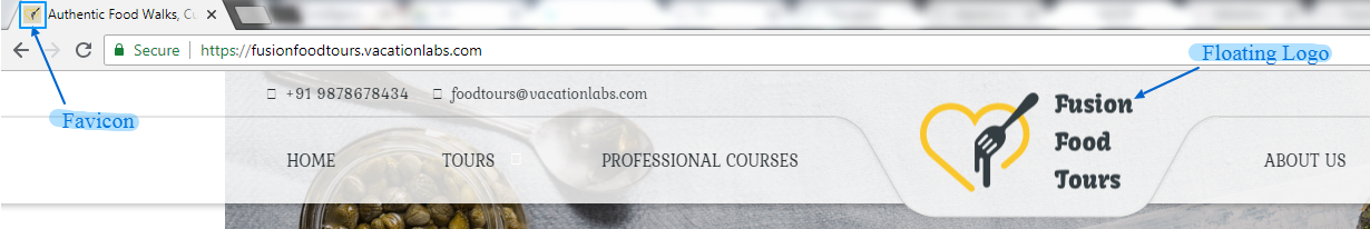 travel-website-Branding-vacationlabs