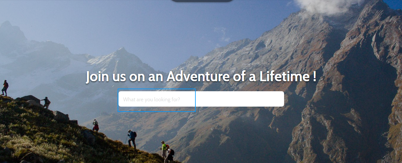 Search-bar-website-navigation