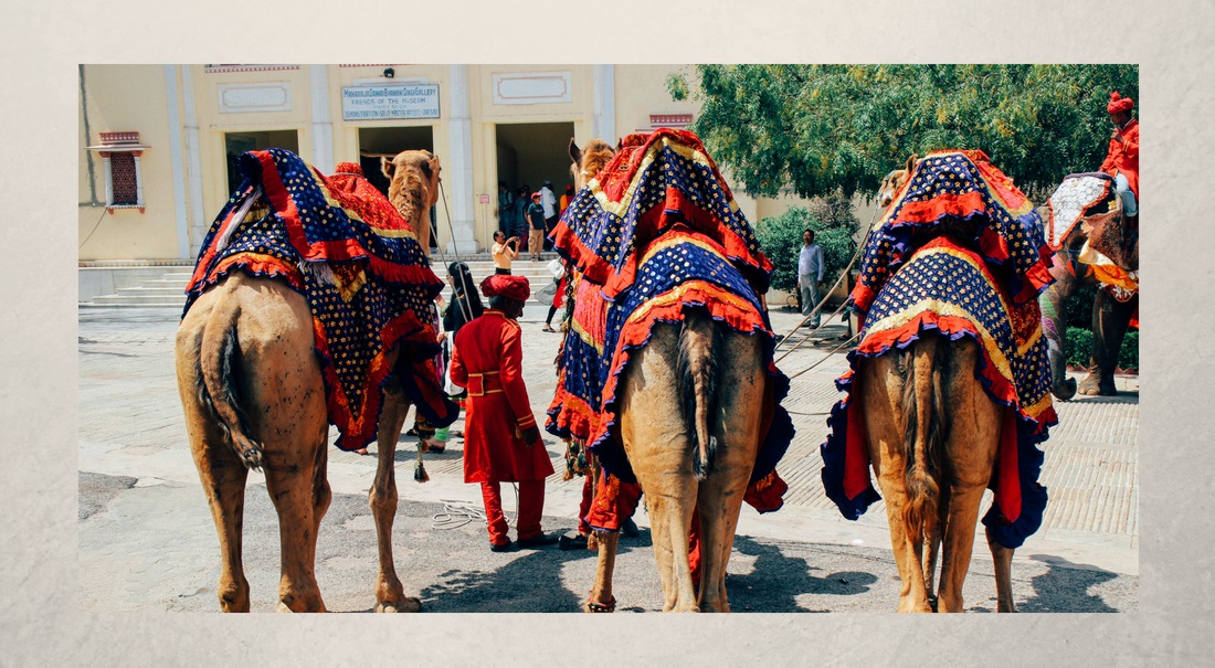 Want To Know The Journey Of Registering Your Travel Business?