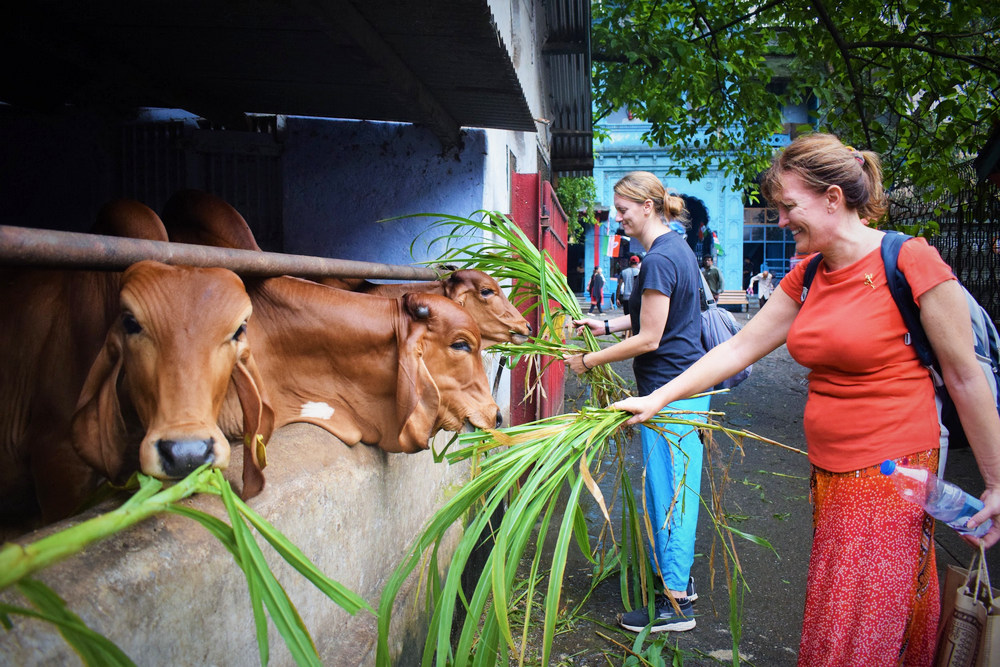 Slum Tours Offer A True Feel, Chance To Celebrating India’s ‘Reality’