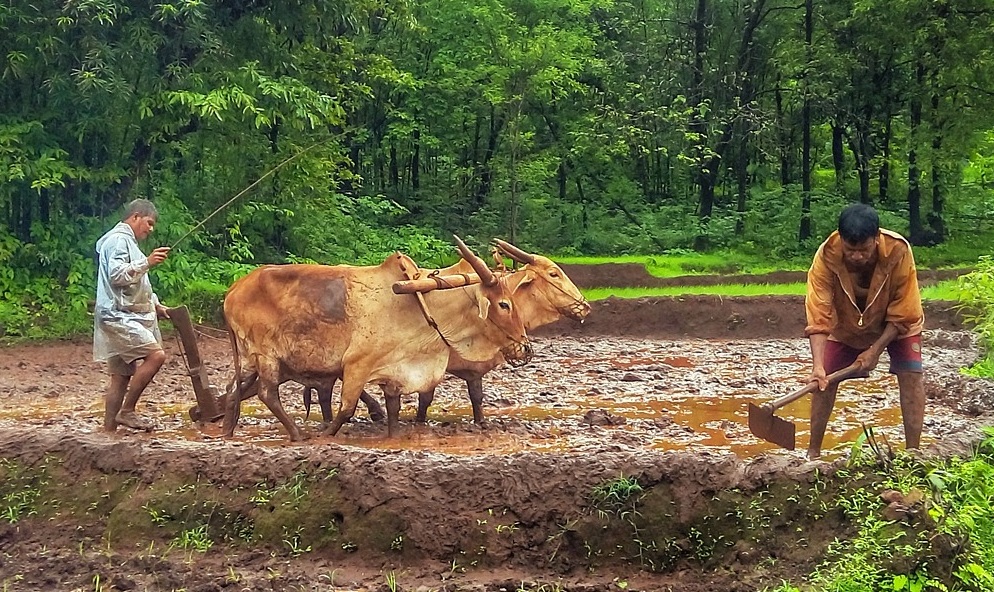 eco-friendly-tour-booking-engine